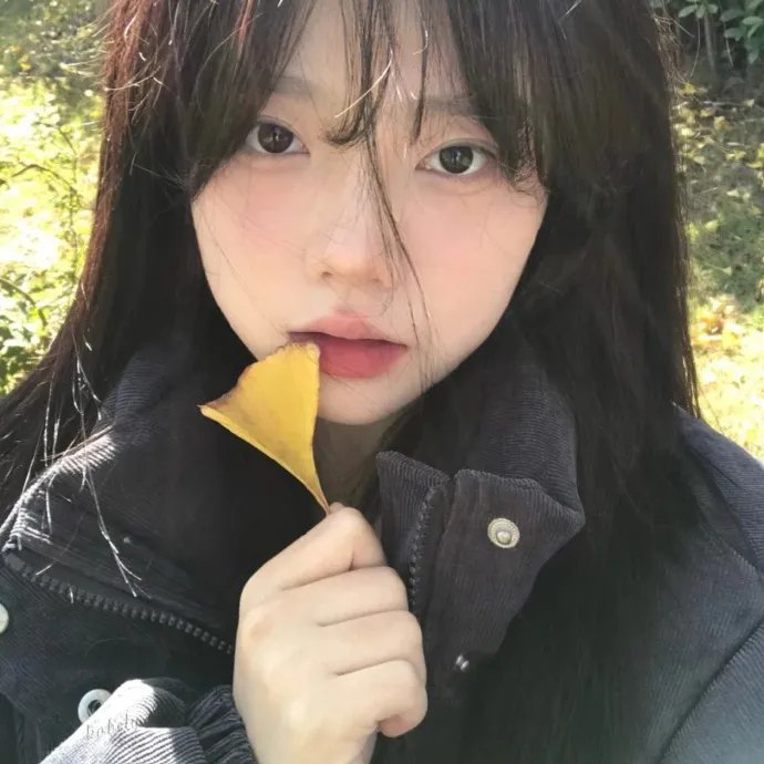 候鸟之爱
